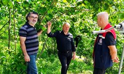 Trabzon'da üreticiye flaş uyarı! Temmuz ayında