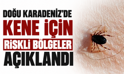 Doğu Karadeniz'de kene sezonu sakin geçiyor