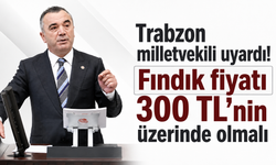 Trabzon milletvekili uyardı! Fındık fiyatı 300 TL’nin üzerinde olmalı