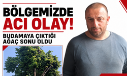 Bölgemizde acı olan! Budamaya çıktığı ağaç sonu oldu
