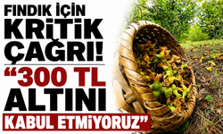 Fındık için kritik çağrı! “300 TL altını kabul etmiyoruz”