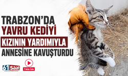 Trabzon’da yavru kediyi kızının yardımıyla annesine kavuşturdu