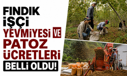 Fındık işçi yevmiyesi ve Patoz ücretleri belli oldu!