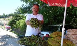 Yeni sezonun ilk fındığı tezgahlarda: Yeşil kabuklu fındığın kilosu 200 TL