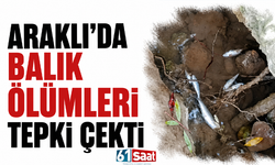 Araklı’da balık ölümleri tepki çekti!