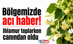 Bölgemizde acı haber! Ihlamur toplarken canından oldu