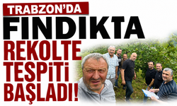 Trabzon’da fındıkta rekolte tespiti başladı