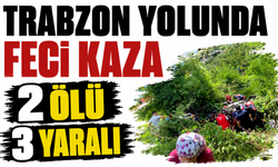 Trabzon yolunda feci kaza: 2 ölü, 3 yaralı