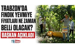 Trabzon’da fındık yevmiye fiyatları ne zaman belli olacak? Başkan açıkladı