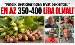Fındık üreticilerinden fiyat beklentisi: “En az 350-400 lira olmalı”