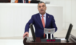 Yavuz Aydın’dan kokarca uyarısı