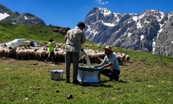 Zorlu yayla şartlarında tescilli lezzet üretiliyor