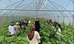 Akçaabat’ta gençler seraları gezdi
