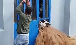 Sağanak yağış seli beraberinde getirdi