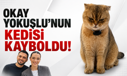 Okay Yokuşlu’nun kedisi kayboldu!