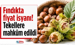 Fındıkta fiyat isyanı! Tekellere mahkûm edildi