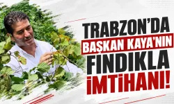 Trabzon'da Başkan Kaya’nın fındıkla imtihanı!