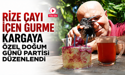 Rize çayı içen gurme kargaya özel doğum günü partisi