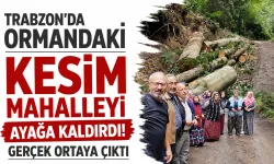 Trabzon'da ormandaki kesim mahalleliyi ayağa kaldırdı! Gerçek ortaya çıktı