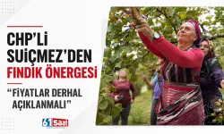 CHP'li Suiçmez'den 'Fındık' önergesi: "Fiyatlar derhal açıklanmalı"