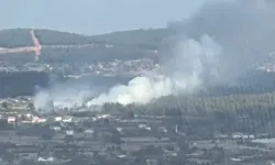 Muğla'da orman yangını! Ekipler havadan ve karadan müdahale ediyor