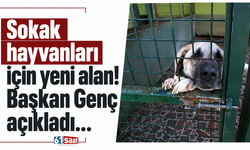 Sokak hayvanları için yeni alan! Başkan Genç açıkladı...