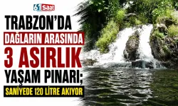 Trabzon'da dağların arasında 3 asırlık yaşam pınarı; saniyede 120 litre akıyor