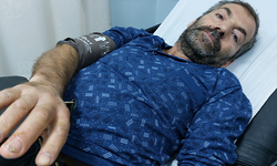 Havalar ısındı, yılan sokmaları artt