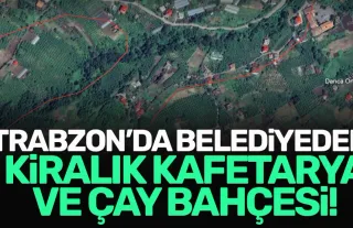 Trabzon'da belediye kafe ve çay bahçesi olarak kiraya verecek!