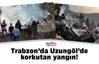 Trabzon Uzungöl'de korkutan yangın!
