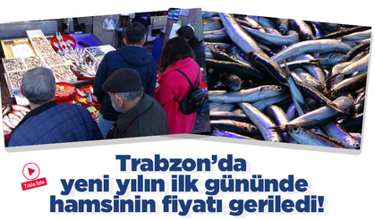 Trabzon’da yeni yılın ilk gününde hamsinin fiyatı geriledi!
