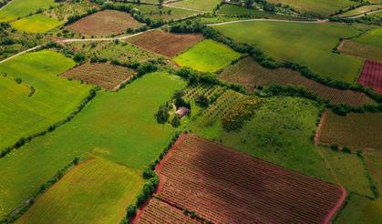 Yatırımcıların yeni gözdesi oldu... 3 kat değer kazandı