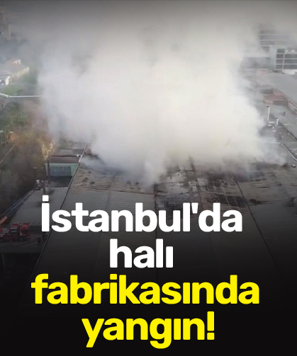 İstanbul'da halı fabrikasında yangın!