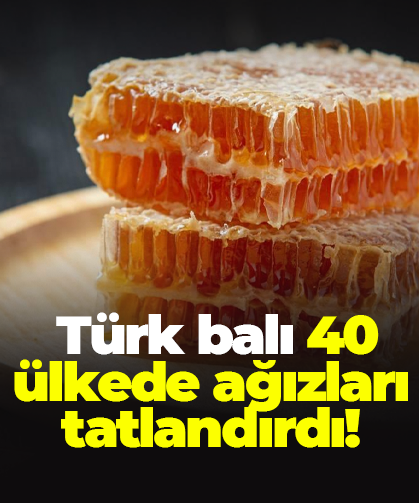 Türk balı 40 ülkede ağızları tatlandırdı!