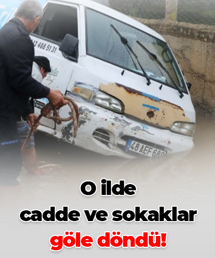 O ilde cadde ve sokaklar göle döndü!