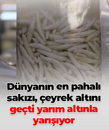 Dünyanın en pahalı sakızı: Çeyrek altını geçti, yarım altınla yarışıyor