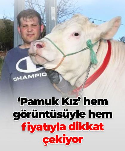 ‘Pamuk Kız’ hem görüntüsüyle hem fiyatıyla dikkat çekiyor