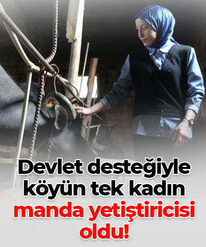 Devlet desteğiyle  köyün tek kadın  manda yetiştiricisi  oldu!