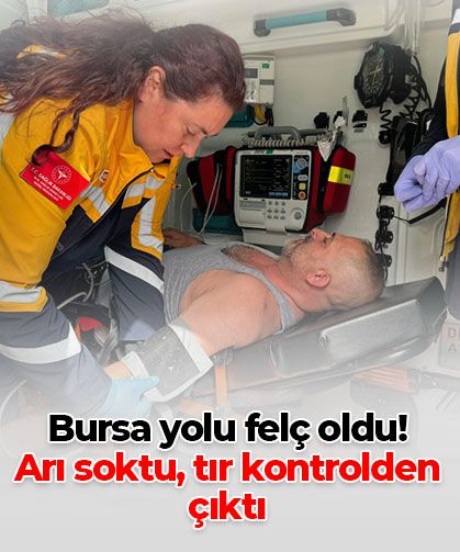 Bir arının yaptığına bakın! Tır kazası yüzlerce kişiyi mağdur etti