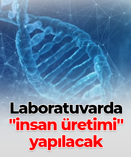 Laboratuvarda  "insan üretimi" yapılacak