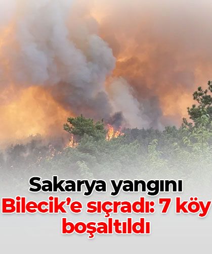 Sakarya'da başlayan yangın Bilecik'e sıçradı: 7 köy boşaltıldı