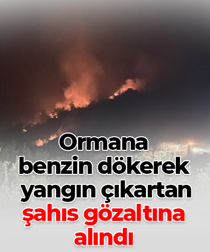 Ormana  benzin dökerek  yangın çıkartan  şahıs gözaltına alındı