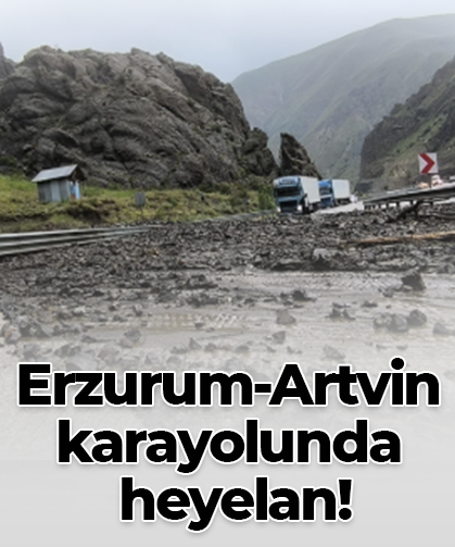 Erzurum-Artvin karayolunda  heyelan!