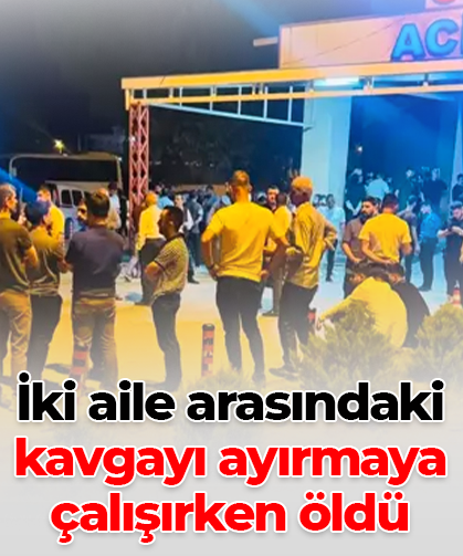İki aile arasındaki kavgayı ayırmaya çalışırken öldü