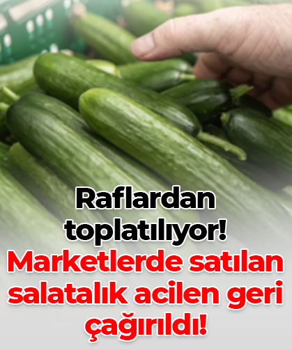 Raflardan toplatılıyor! Marketlerde satılan salatalık acilen geri çağırıldı!