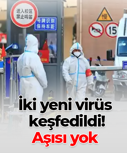 İki yeni virüs  keşfedildi!   Aşısı yok