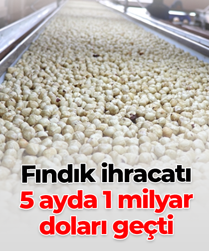 Fındık ihracatı  5 ayda 1 milyar doları geçti
