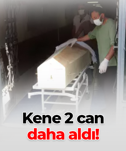 Kene 2 can daha aldı