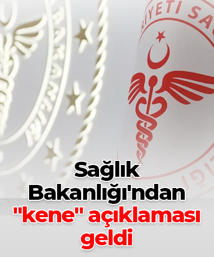 Sağlık Bakanlığı'ndan "kene" açıklaması geldi