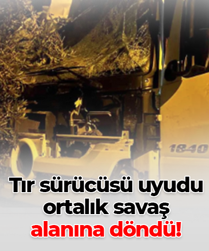 Tır sürücüsü uyudu ortalık savaş  alanına döndü!